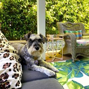 Meet your Posher, Best in Show